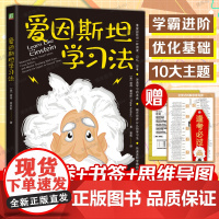 爱因斯坦学习法 Peter Hollins 费曼学习法 康奈尔笔记 刻意练习 番茄工作 学习 迅速提分 刻意练习 思维方