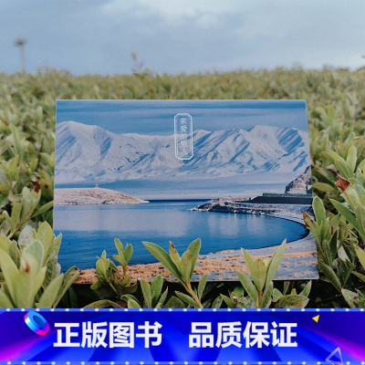 [正版]亲爱的旅人 摄影师@-经书 28张摄影作品新疆风景我的阿勒泰 广阔大草原连绵不绝雪山风光出类艺术明信片创意唯美