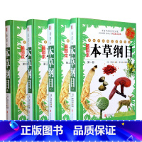 [正版]本草纲目全套全4本 中医养生 李时珍原著图解本草纲目中草药药物医药方中药中医简易图鉴养生诊疗方剂大全图书籍