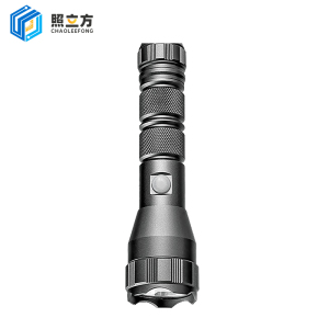 照立方 手电 BL2 个