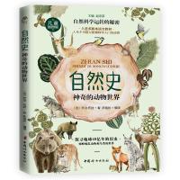 正版新书]自然史:神奇的动物世界(法)布封 著 陈旭彤 编译97875