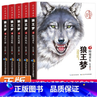 [正版]狼王梦全套5册沈石溪动物小说画本系列三四五六年级小学生青少年课外阅读书籍 经典6-8-15周岁儿童文学故事书畅