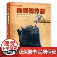 柴郡猫传奇,西尔比斯青少年奇幻文学奖作品,二三四五六年级上下册必读阅读课外书籍故事书儿童文学小说图书正版书籍