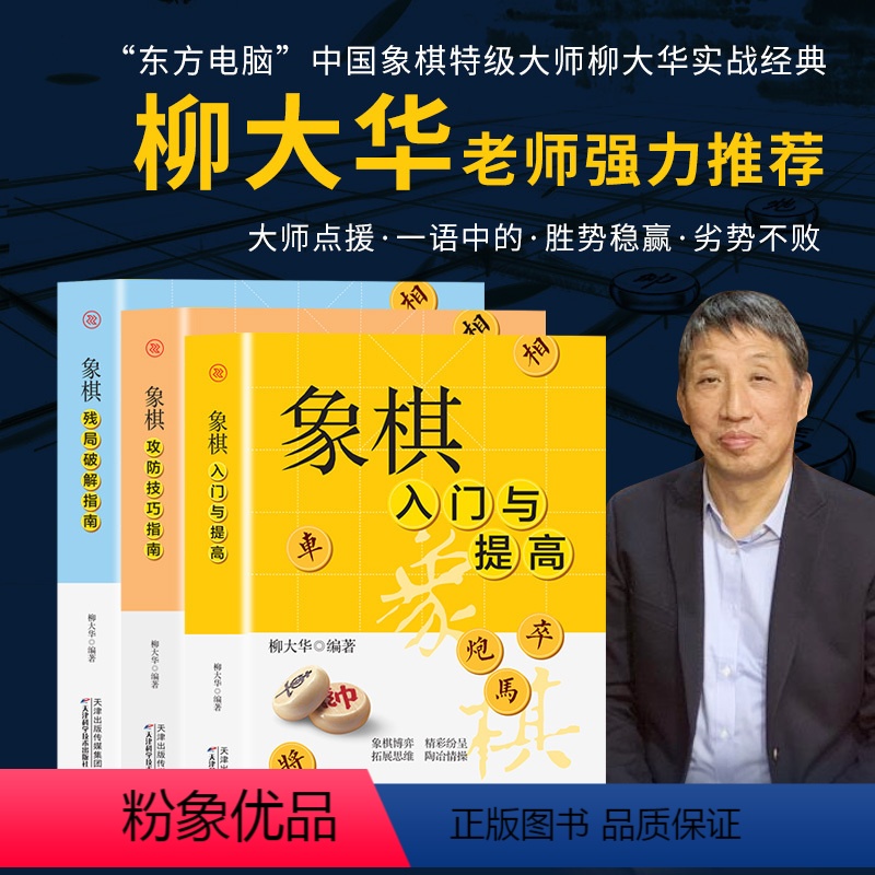 [正版]全三册象棋残局破解指南象棋攻防技巧指南象棋入门与提高东方电脑中国象棋大师柳大华实战经典大师点援一语中象棋技巧练