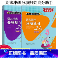 语文 小学五年级 [正版]语文期末分项复习21天五年级上下全2册 核心素养天天练 小学生单元同步测试卷期中末综合复习冲刺