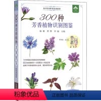 [正版]300种芳香植物识别图鉴 彩图典藏版 陆琳,曹桦,李涵 编 生命科学/生物学 wxfx