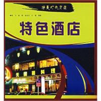 正版新书]精美灯光店面 特色酒店肖飞 著9787538850987