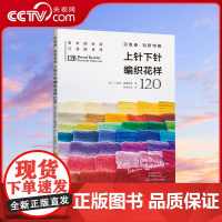 [央视网]贝恩德·凯斯特勒上针下针编织花样120 简单的针法 百变的花样 棒针入门新手编织教程详解HN