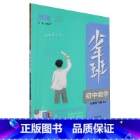 默认 小学通用 [正版]少年班.初中数学七年级.下册:RJ
