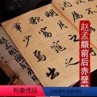 [正版]赵孟頫前后赤壁赋 放大版 8开本米字格单字注释 历代墨宝选粹 赵体行书书法毛笔练字帖放大易于初学者入门临摹 江
