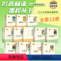 全初中?全套31册 [正版]朝花夕拾西游记骆驼祥子海底两万里白洋淀纪实湘行散记猎人笔记镜花缘城南旧事7七年级上下册课外书