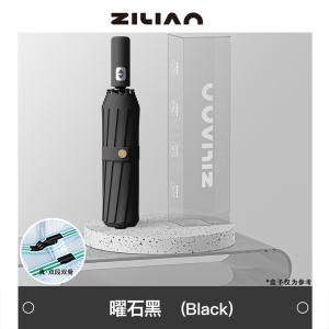 自动伞024