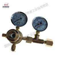 红旗 氮气减压器检测款 YQD-370 6*25 个
