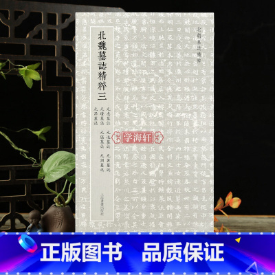 北魏墓志精粹三 [正版]学海轩 北魏墓志三 元忠墓志元进墓志元苌墓志元瓒墓志元隐墓志元渊墓志元昂墓志 楷书魏碑字临摹名家