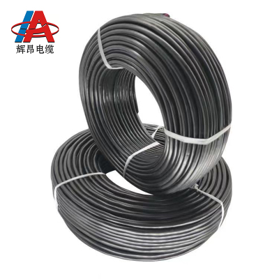 辉昂 屏蔽双绞线 RVSP 300/300V -7*0.75平方 盘
