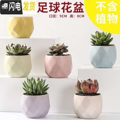 三维工匠多肉花盆陶瓷透气大口径家用创意粗陶肉肉植物小盆器 马卡龙足球(6个) 小花盆容器