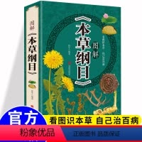 [正版]彩图加厚版本草纲目 李时珍全彩图 图解本草纲目 李时珍著 中医养生书籍大全 中药书中草药书入门医学书籍黄帝内经