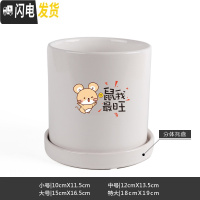 三维工匠鼠年本命年装饰创意中国红插银柳简约圆柱绿植多肉带托盘陶瓷花盆 鼠我最旺-亮光白 特大花盆容器