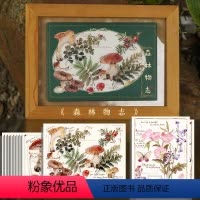 [正版]森林物志 吉积原创植物花卉风景插画 14张日番美绘创意复古清新治愈插画作品明信片感受对大自然的热爱以及对悠然生