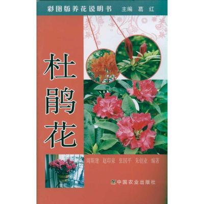 正版新书]杜鹃花 彩图版养花说明书周斯建9787109154049