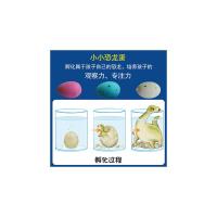 神奇世界大探险系列 探索恐龙的秘密