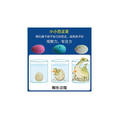 神奇世界大探险系列 探索恐龙的秘密