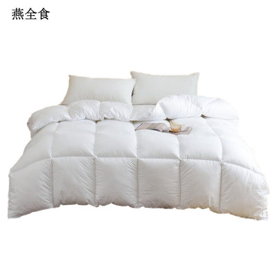 燕全食 棉被 羽丝绒 180*220cm*3kg YQSA3/条