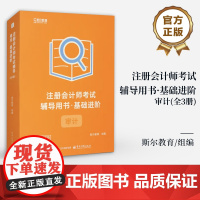 店 注册会计师考试辅导用书 基础进阶 审计 全3册 斯尔教育CPA组讲师编写 经济法战略税法讲义题库历年真题习题