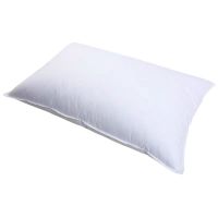百纳千禧 枕芯 BNQX-ZX04 45*75cm*900g 个