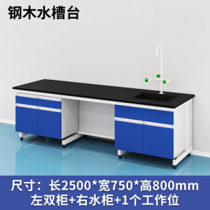 易企采 250CM钢木水槽台B款 实验室测试化验操作工作台耐酸碱试剂台 单位:张
