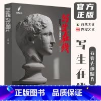 [正版]写生在线石膏头像照片 2024白鹭文化杨震