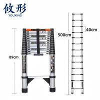 攸形 梯子500cm个