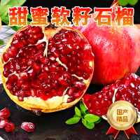 [西沛生鲜]会理突尼斯软籽石榴 净重9斤 中果 单果250-300g 新鲜孕妇水果 坏果包赔 西沛