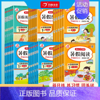 暑假专项6本套装[送7周陪伴打卡] 小学二年级 [正版]2023新开心暑假作业一二三四五六年级暑假专项训练上下册口算应用