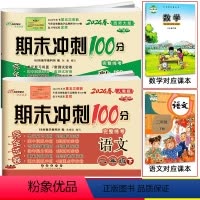 语文人教版+数学西师大版 二年级下 [正版]2024春新版 期末冲刺100分完全试卷语文人教版+数学西师版西南师范大学课