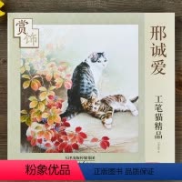 [正版]邢诚爱工笔猫精品赏饰 邢诚爱绘 天津杨柳青画社 猫 工笔画 翎毛走兽画 赏饰系列书目 书籍