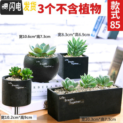 三维工匠多肉花盆植物简约陶瓷盆器套装种多肉个性盆器 套装085(随机发3个) 中小花盆容器