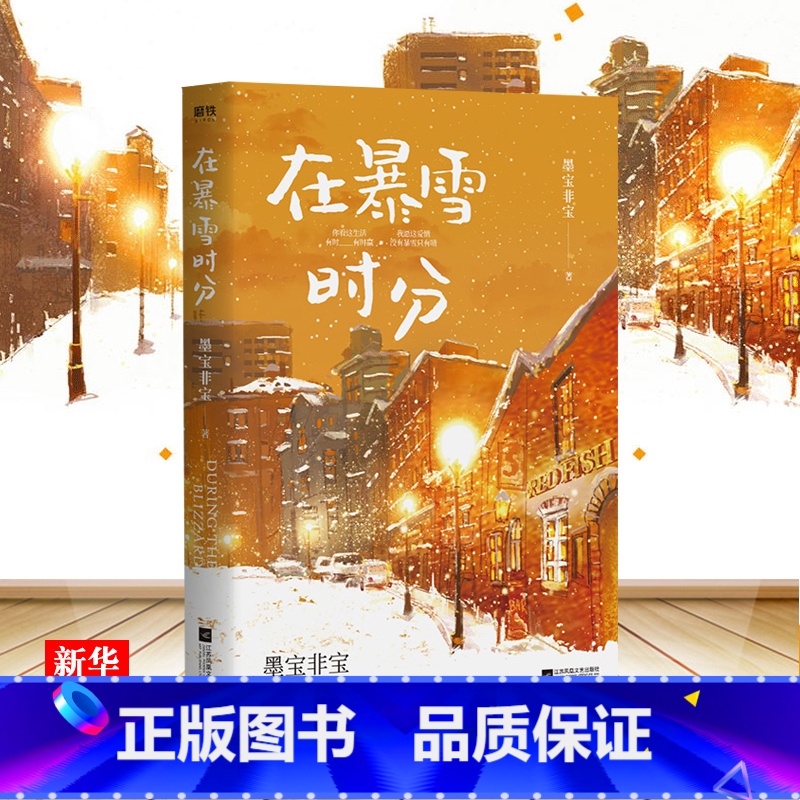 [正版]在暴雪时分 墨宝非宝继蜜汁炖鱿鱼一生一世美人骨后 2021新书 都市青春言情小说 书 安徽书店