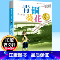 [正版]青铜葵花曹文轩完整原版草房子根鸟系列经典纯美小说儿童文学初中小学生三四五六年级青少年必读课外阅读物书目