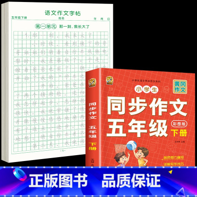 [五下2本]同步作文+同步作文字帖 [正版]五年级下册同步作文语文练字帖人教版同步满分作文素材积累字帖小学生每日一练好词