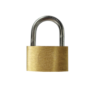 佳谊林电气 JYL-405 5*5*6厘米 铜 挂锁 1.00 个/把 (计价单位:把) 铜色