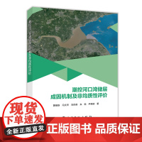 潮控河口湾储层成因机制及非均质性评价9787511464149中国石化出版社
