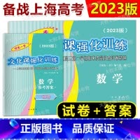 2023高考一模 数学 试卷+答案 上海 [正版]2023年版领先一步 数学 上海高考数学一模卷 试卷+答案 文化课