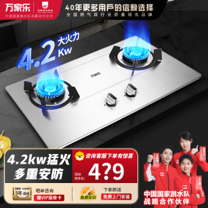 万家乐燃气灶 4.2kw大火力天然气灶 台嵌两用燃气灶 一级能效 家用不锈钢天然气灶具KA031 不锈钢-天然气