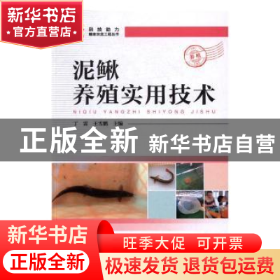 正版 泥鳅养殖实用技术 丁雷,王雪鹏主编 中国科学技术出版社 97