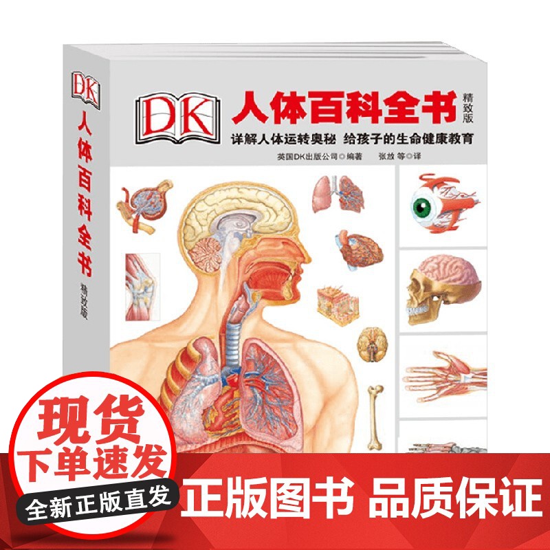 DK人体百科全书 精致版 精装 7-10岁 英国DK出版公司 著 科普百科