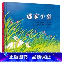 逃家小兔 [正版]花婆婆课外书二年级绘本精装硬壳皮3-6岁幼少儿童宝宝睡前早教启蒙图画故事书籍小学生一二三年级阅读课外非