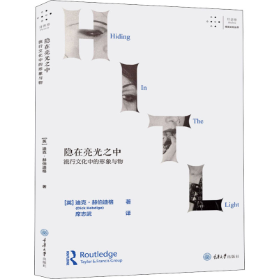 醉染图书隐在亮光之中 流行文化中的形象与物97875689514