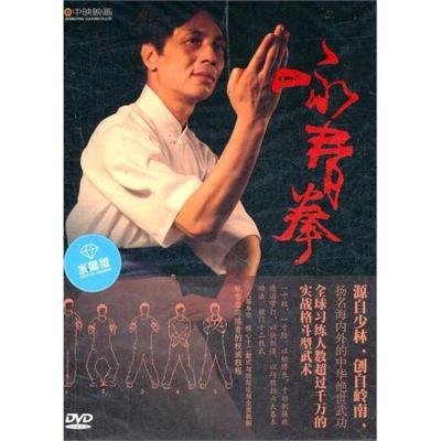 电子版咏春拳（DVD）水晶版六大基本功法、独门十二散式