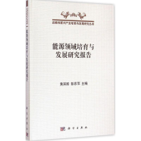音像能源领域培育与发展研究报告黄其励,彭苏萍 主编